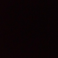 Мария Аркадьевна