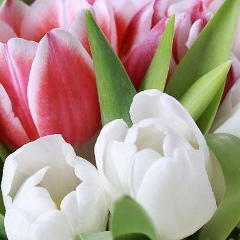 Ирина Костюкевич, 30.04, Тольятти