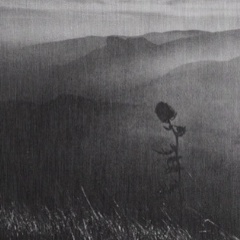 Иман Хакимова, 02.02.2000, Гехи