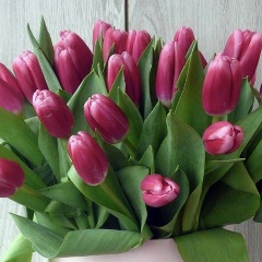 Сергей Поликарпов, 01.07.1974, Сочи