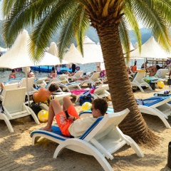 Gezgin Egeli, Kuşadası