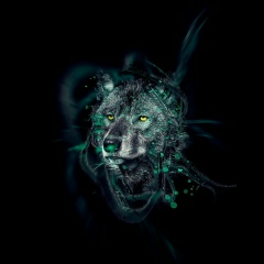 Вася Васильев, Чита