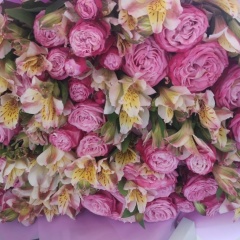 Анжелина Джоли, 02.10.1981, Москва