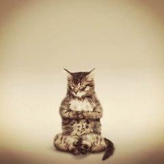 Влад Савин, 27.12.1990, Иркутск