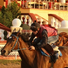 Владимир Уткин, Ростов-на-Дону