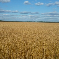 Константин Кравченко, 23.06.1982, Тюмень
