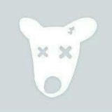 Мухаммед Данияр, 01.01