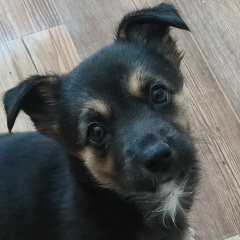 Данил Чусовитин, 23.11.1992, Екатеринбург