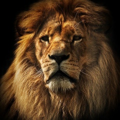 Шейх Ильясов, 01.10.1998, Тюмень