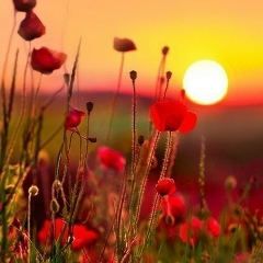 Olesia Bahar, Нефтеюганск