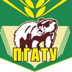 Дмитрий Прянишников, Пермь