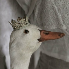 Вадим Авхимович, 25.03.1988, Москва