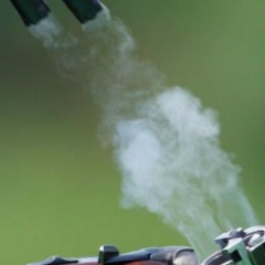 Валерия Цветкова, 06.12, Санкт-Петербург