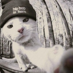 Илья Никитин, 30.11.1987, Санкт-Петербург