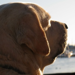 Георгий Рихтер, 02.10