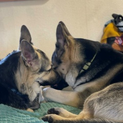 Татьяна Антропова, Санкт-Петербург