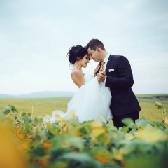 Аля Фрунза, 14.11, Черновцы