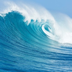 Валерия Тереховская, 02.06.1979, Санкт-Петербург