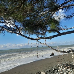 Ксения Коробко, 10.02, Сыктывкар