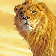 Руслан Руслан, 16.06, Алматы