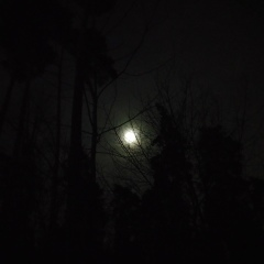 Ivan Khromov, 21.07, Сочи