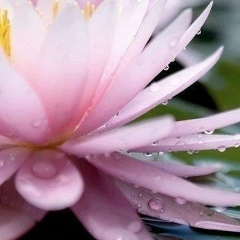 Александра Езус, 29.06, Москва