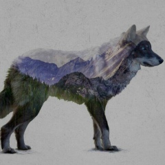 Алексей Лим, 03.07, Шымкент