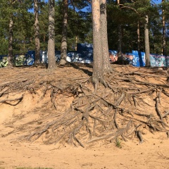 Иван Жариков, 12.12.1979, Санкт-Петербург