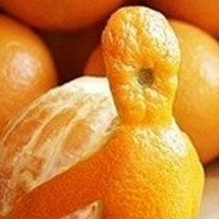 Дима Михеев, 19.12.1976, Санкт-Петербург