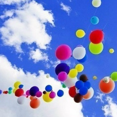 Надежда Чушникова, Новосибирск