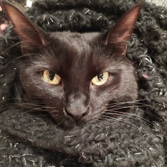 Ксения Еникеева, 27.05.1987, Санкт-Петербург