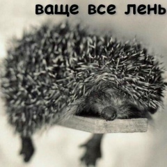 Екатерина Долотова, 13.06.1989, Москва