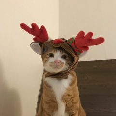 Саид Азикаабакаров, 01.09