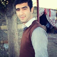 Resad Meherremov, 08.07.1989