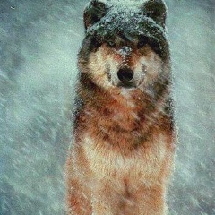 Атмир Бакаев, 29.01.1996, Баксан