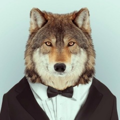 Аман Чарыев, 23.05.1990, Ашхабад