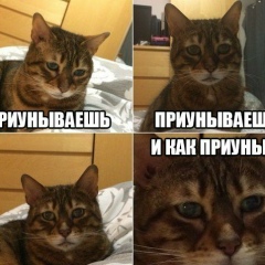 Стас Кочвар, 21.06.1987, Харьков
