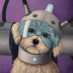 Андрей Шульга, 29.11.1987, Томск