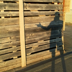 Борис Орлов, 25.05, Москва