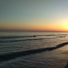 Александр Петрович