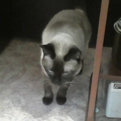 Кирилл Родионов, 01.03.2003, Сафоново