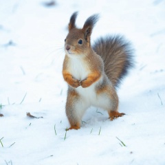 Александр Сергеевич, 01.05, Евпатория