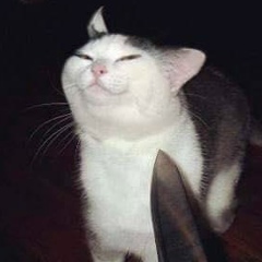 Лесбек Шаги, 26.08.1997, Астана