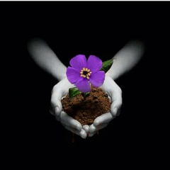 Astghik Sargsyan, Ереван