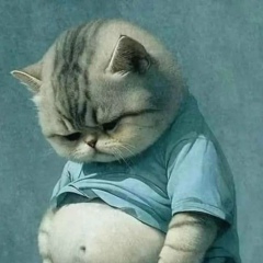 Денис Хисамов, 21.08