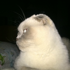 Павел Симаков, 24.06.1985, Екатеринбург