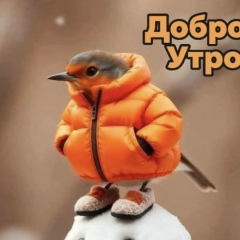 Алёна Я, Москва