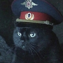 Жека Кривцун, Санкт-Петербург