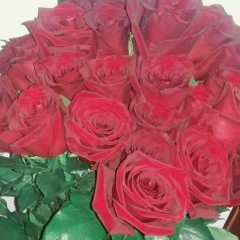 Екатерина Поважная-Суворова, 08.05.1996, Кара-Балта