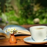 Turkan Ibragimova, 15.11.1987, Москва